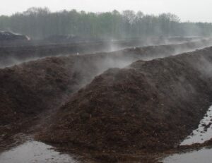 Large rows of compost
