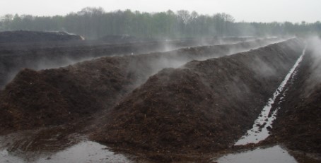 Large rows of compost