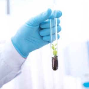 Plant and soil in test tube being held by person wearing gloves in a lab