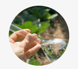 Farmer holding beaker with small piece of plant and water conducting a plant analysis