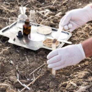 Metal tray full of testing supplies on dirt ground next to analyst collecting a sample of the dirt in a test tube